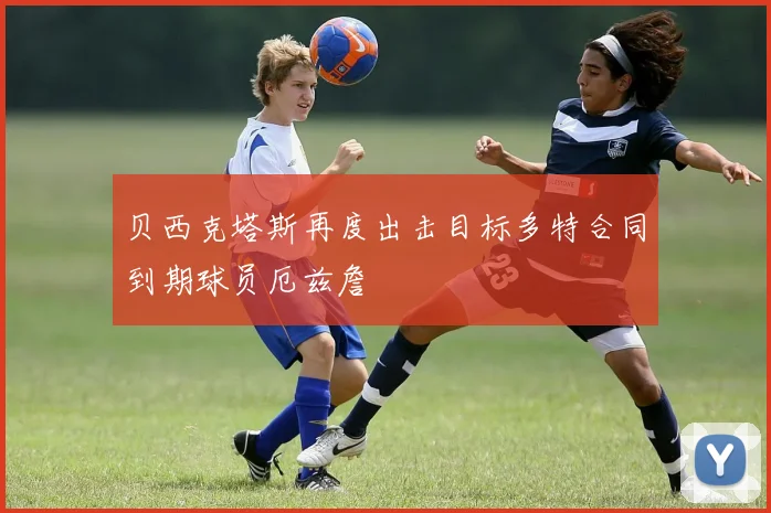 贝西克塔斯再度出击目标多特合同到期球员厄兹詹