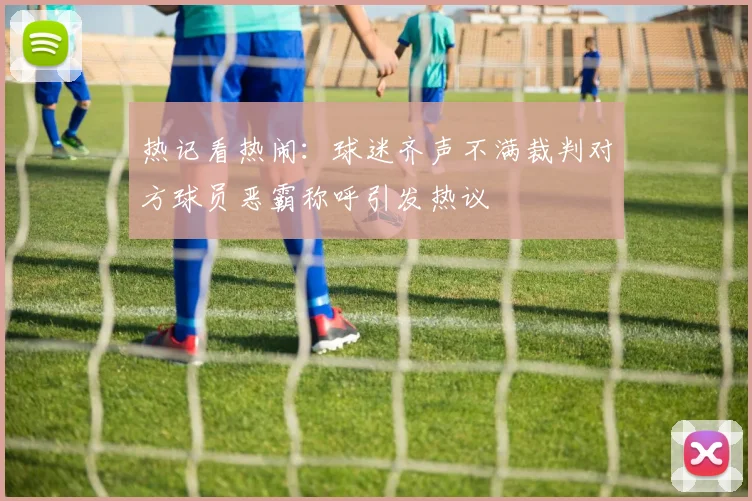 热记看热闹：球迷齐声不满裁判对方球员恶霸称呼引发热议